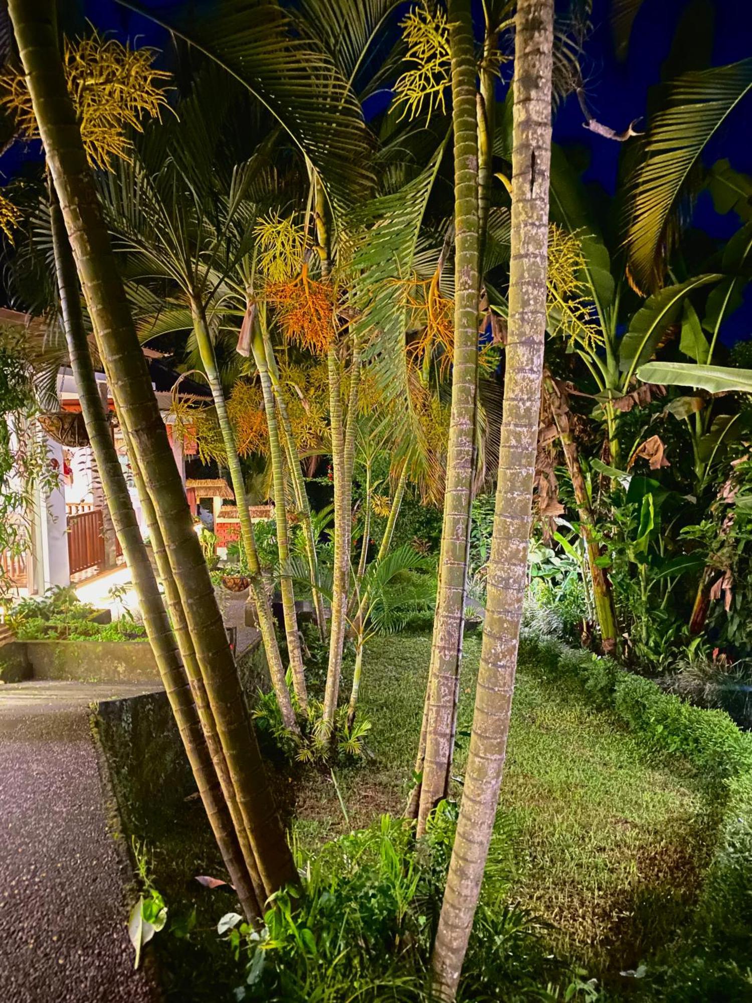 Bed & Breakfast Ardan Maison